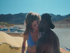 Gray Perrier Hot Tgirls XXX Hardcore